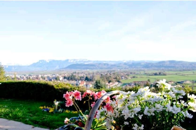 La Villa Jo Le Grand-Lemps Esterno foto